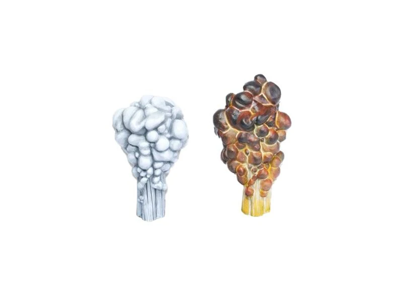 Tabletop Art Zubehör Clouds Of Smoke – Set 1 2 Teile 3 Tabletop Art Zubehör Clouds Of Smoke – Set 1 2 Teile