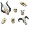 Tabletop Art Dekoration Fantasy Skulls 7 Teile -Pen and Paper Verkäufe 223026741 xxl
