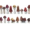 Tabletop Art Zubehör Mushrooms – Set 1 16 Teile -Pen and Paper Verkäufe 223027291 xxl