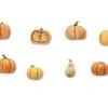 Tabletop Art Zubehör Pumpkins – Set 1 8 Teile -Pen and Paper Verkäufe 223027367 xxl