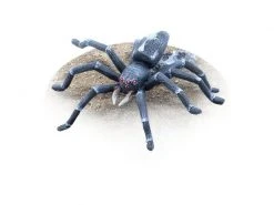 Tabletop Art Miniatur Gigantic Spider