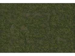 WizKids Zubehör D&D Icons of Realms: Battle Mat Grasland