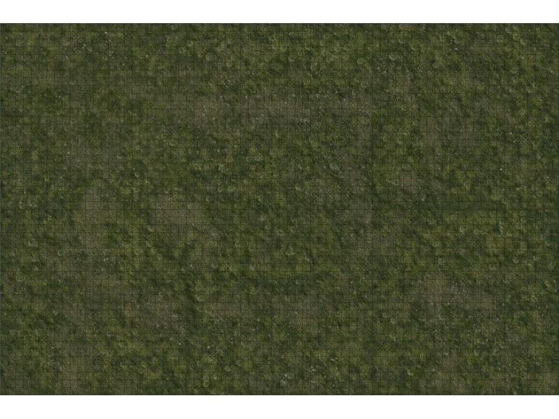 WizKids Zubehör D&D Icons of Realms: Battle Mat Grasland 3 WizKids Zubehör D&D Icons of Realms: Battle Mat Grasland