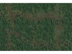 WizKids Zubehör D&D Icons of the Realms: Battle Mat Wald