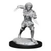 WizKids Miniatur D&D MTG Kaya 1 Stk. -Pen and Paper Verkäufe 223037246 xxl