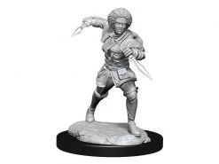 WizKids Miniatur D&D MTG Kaya 1 Stk.