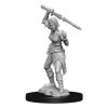 WizKids Miniatur D&D MTG Nahiri 1 Stk.