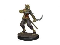 WizKids Miniatur D&D Tabaxi Rogue Male 1 Stk.