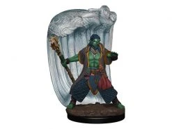 WizKids Miniatur D&D Water Genasi Druid Male 1 Stk.