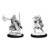 WizKids Miniaturen-Set D&D Winter Eladrin Spring Eladrin 2 Stk. -Pen and Paper Verkäufe 223037887 xxl