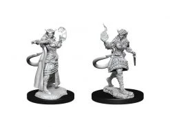 WizKids Miniaturen-Set D&D Tiefling Sorcerer Female 2 Stk.