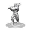 WizKids Miniatur D&D Ogre Female 1 Stk.