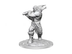 WizKids Miniatur D&D Ogre Female 1 Stk.