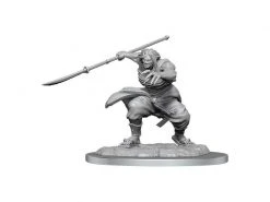 WizKids Miniatur D&D Oni Female 1 Stk.