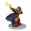 WizKids Miniatur D&D Female Dwarf Wizard 1 Stk. -Pen and Paper Verkäufe 223038072 xxl