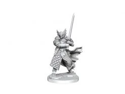 WizKids Miniaturen-Bausatz D&D Frameworks Dragonborn Paladin 1 Stk.