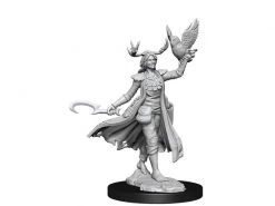 WizKids Miniaturen-Bausatz D&D Frameworks Human Druid Female 1 Stk.