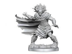 WizKids Miniaturen-Bausatz D&D Frameworks Wight 1 Stk.