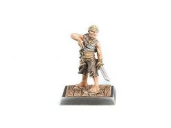 Freebooter's Fate Starterbox Piraten -Pen and Paper Verkäufe 223041521 xxl