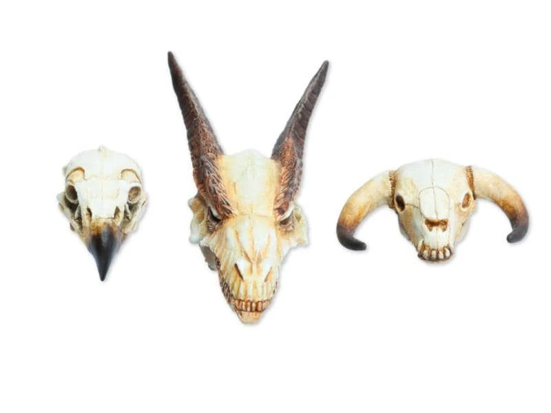 Tabletop Art Zubehör Monster Skull Set 3 Teile 4 Tabletop Art Zubehör Monster Skull Set 3 Teile – Bild 2