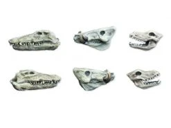 Tabletop Art Zubehör Animals Skulls Set 6 Teile -Pen and Paper Verkäufe 223041735 xxl