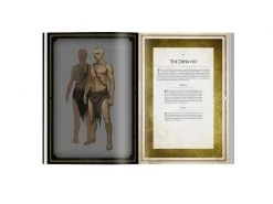 Steamforged Games Regelwerk Dark Souls: The Roleplaying Game -EN- -Pen and Paper Verkäufe 223048460 xxl