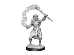 WizKids Miniaturen-Set D&D Firbolg Druid Female 2 Stk. -Pen and Paper Verkäufe 223053018 xxl