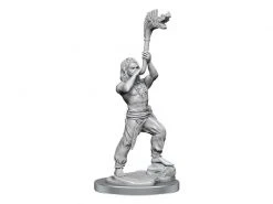 WizKids Miniaturen-Set D&D Brigante Celts 10 Stk. -Pen and Paper Verkäufe 223053187 xxl