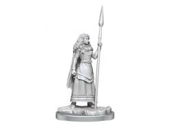 WizKids Miniaturen-Set D&D Brigante Celts 10 Stk. -Pen and Paper Verkäufe 223053251 xxl