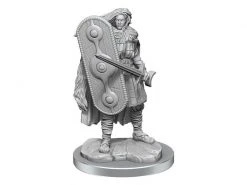WizKids Miniaturen-Set D&D Brigante Celts 10 Stk. -Pen and Paper Verkäufe 223053300 xxl