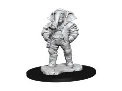 WizKids Miniatur D&D MTG Quintorius 1 Stk.