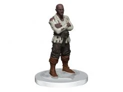 WizKids Miniaturen-Set D&D Strahd Denizens Ravenloft -Pen and Paper Verkäufe 223053835 xxl