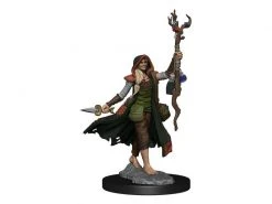 WizKids Miniaturen-Bausatz D&D Frameworks Human Druid Female 1 Stk. -Pen and Paper Verkäufe 223054276 xxl