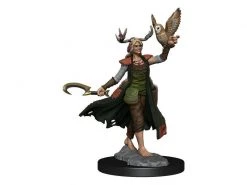 WizKids Miniaturen-Bausatz D&D Frameworks Human Druid Female 1 Stk. -Pen and Paper Verkäufe 223054282 xxl