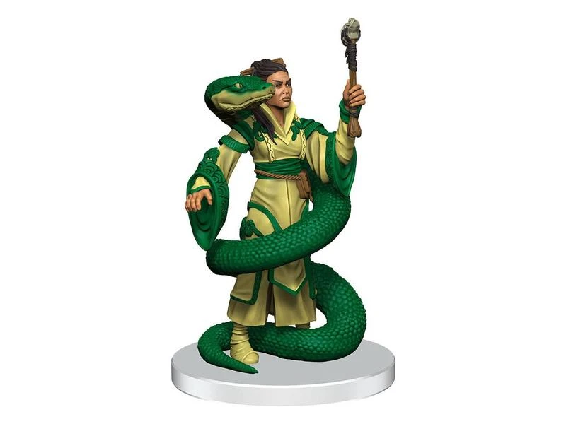 WizKids Miniaturen-Set D&D Storm King's Thunder: Box 2 5 Stk. 8 WizKids Miniaturen-Set D&D Storm King's Thunder: Box 2 5 Stk. – Bild 6