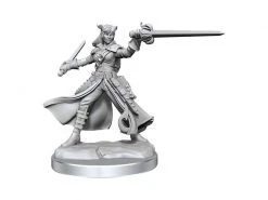 WizKids Miniaturen-Bausatz D&D Frameworks Tiefling Rogue F 1 Stk. -Pen and Paper Verkäufe 223054630 xxl