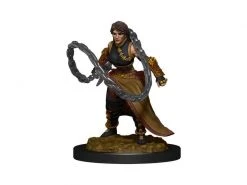 WizKids Miniaturen-Set D&D Human Monk Female 2 Stk. -Pen and Paper Verkäufe 223054786 xxl