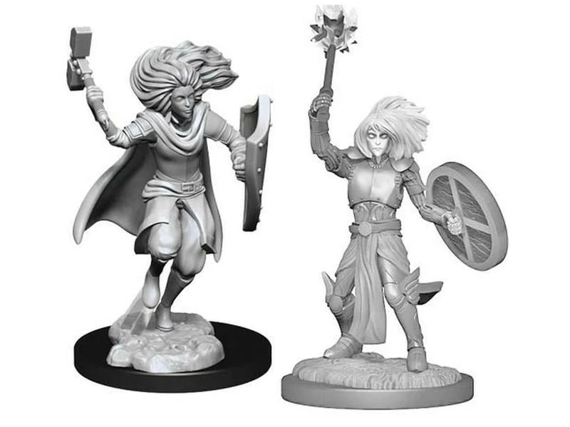 WizKids Miniaturen-Set D&D Changeling Cleric 2 Stk. 3 WizKids Miniaturen-Set D&D Changeling Cleric 2 Stk.