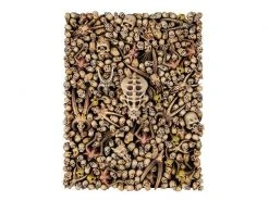 Games Workshop Diorama Citadel Skulls 10 Games Workshop Diorama Citadel Skulls -Pen and Paper Verkäufe 57445710 xxl