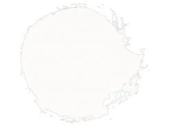 Games Workshop Farbe Citadel Dry: Wrack White 12 ml